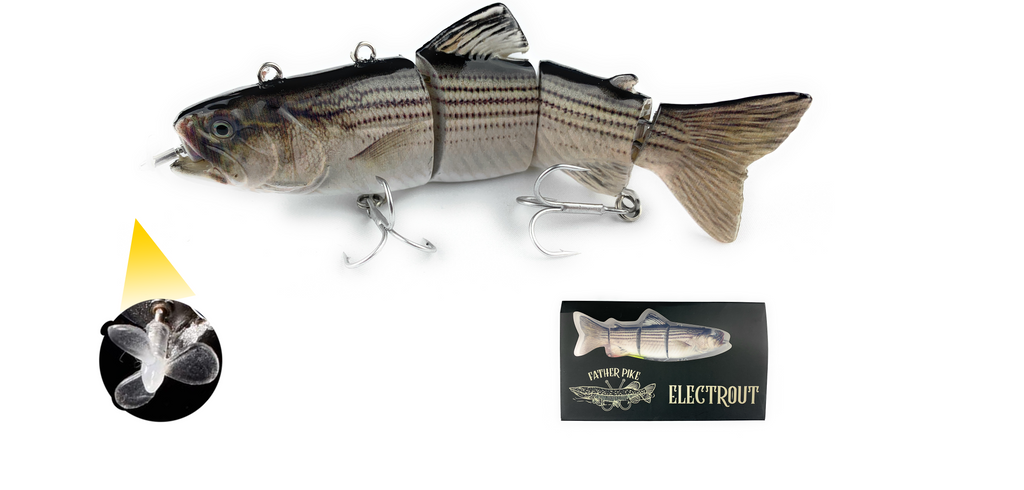 Father Pike WHITE FISH ELECTROUT