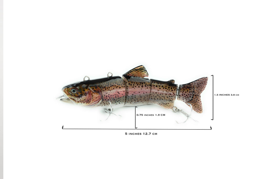 Father Pike 5 inch RAINBOW ELECTROUT